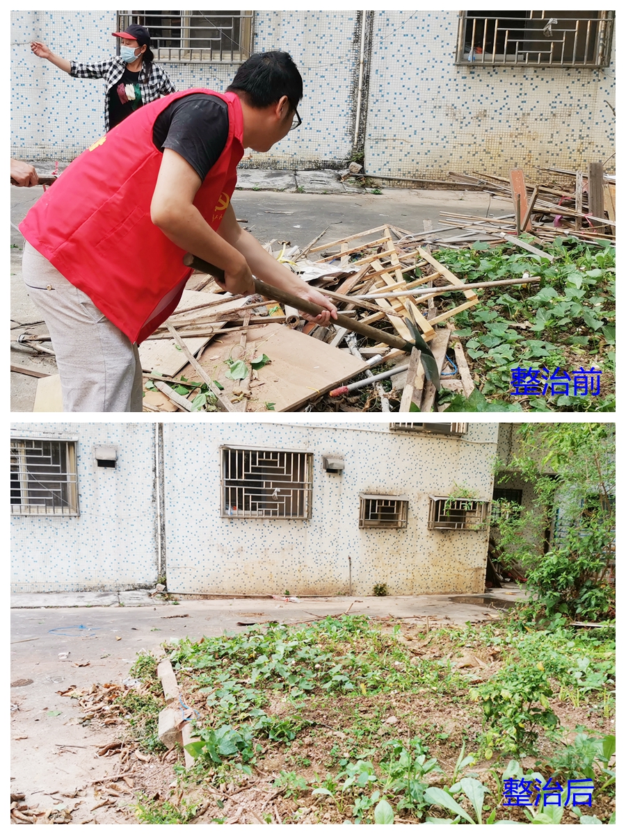 整治前后对比.jpg
